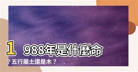 1988年屬什麼|【1988 什麼龍】1988 年五行屬什麼龍？你的命運、姻緣等你來解。